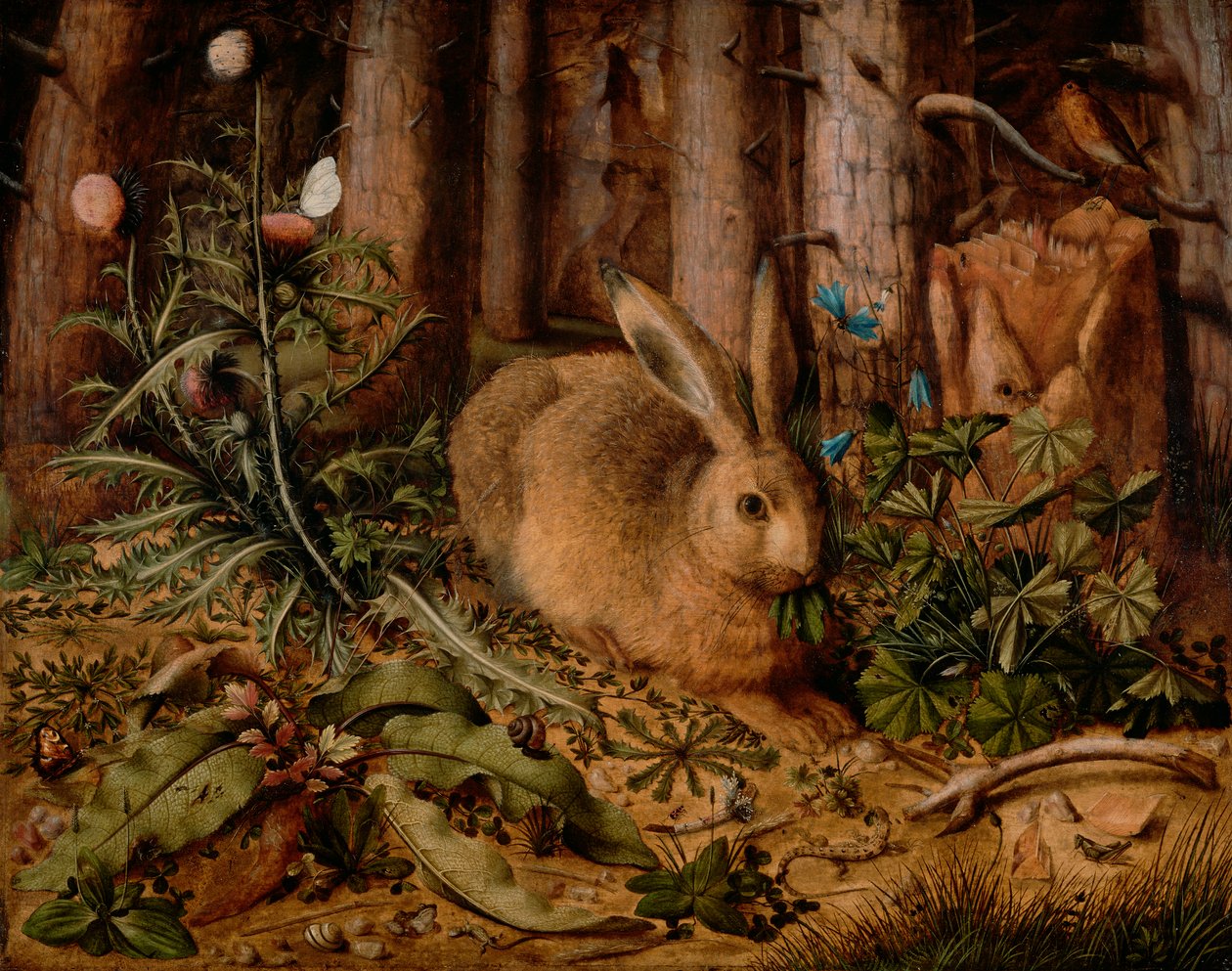 Un lièvre dans la forêt, vers 1585 - Hans Hoffmann
