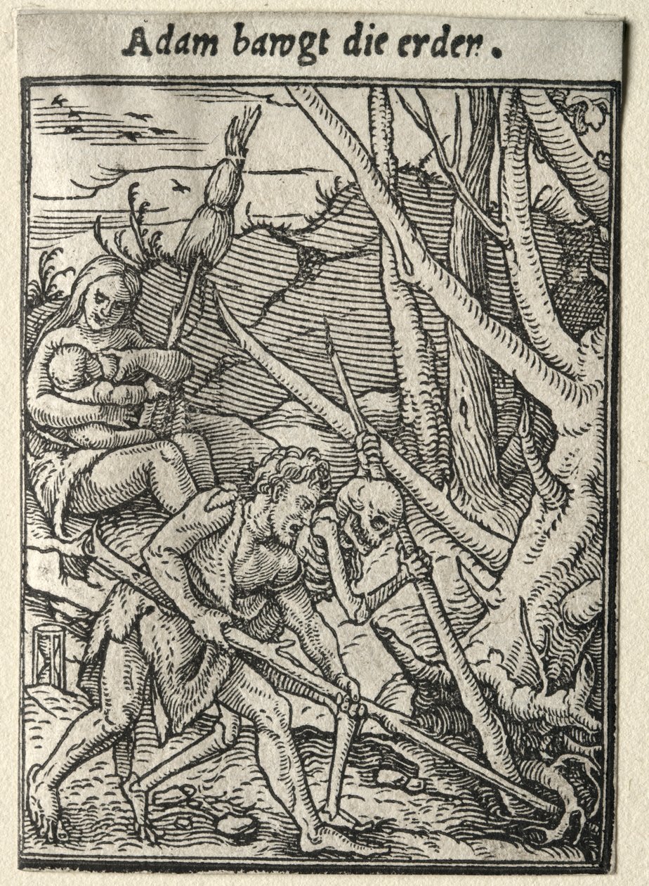 Danse de la Mort : Adam labourant la terre - Hans Holbein