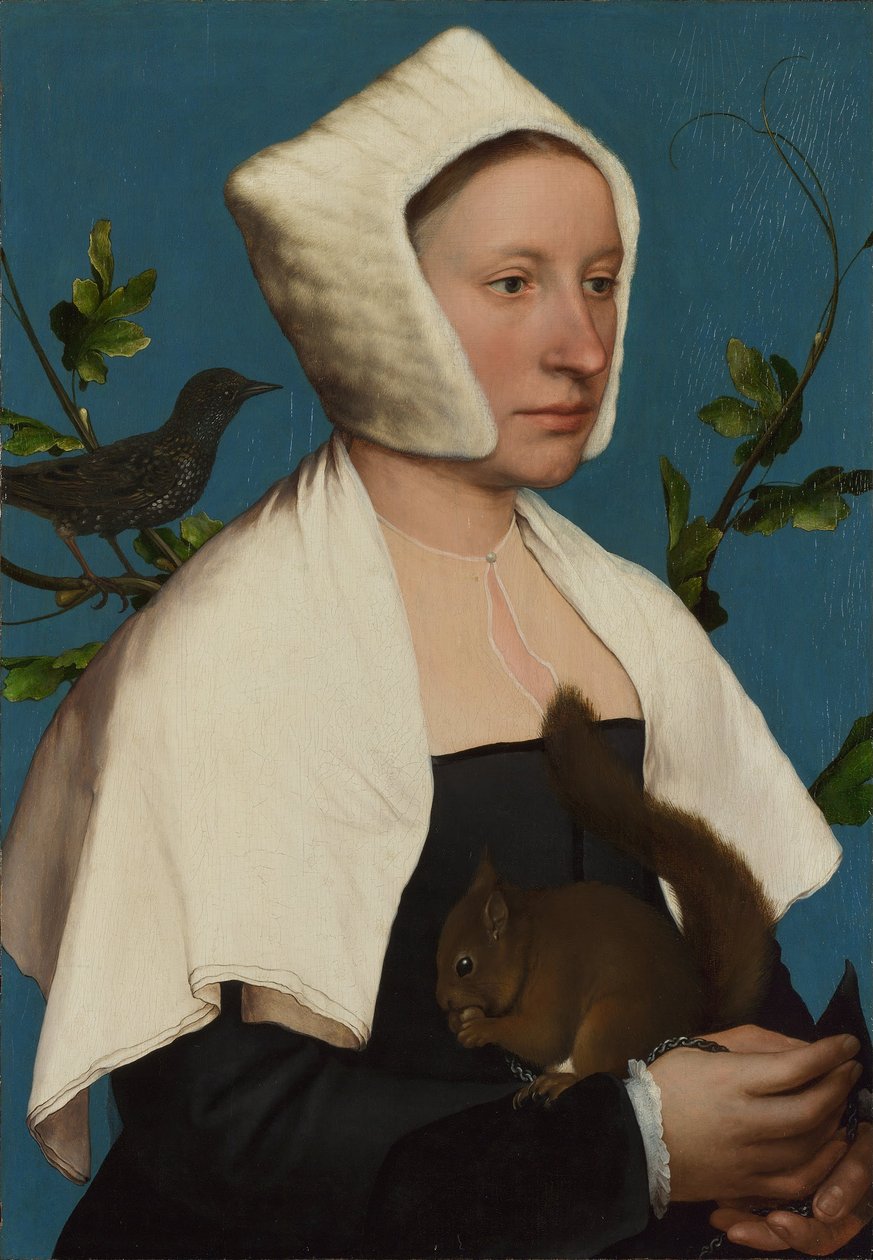 Une dame avec un écureuil et un étourneau (Anne Lovell )  - Hans Holbein the Younger