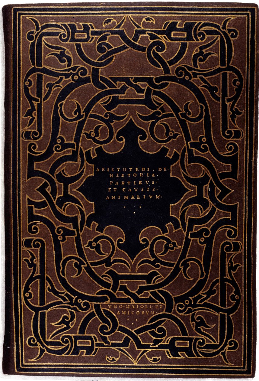 Reliure de la collection « Aristotelis et Theophrasti historias » dessinée par Hans Holbein le Jeune (1497-1543) - Hans Holbein der Jüngere