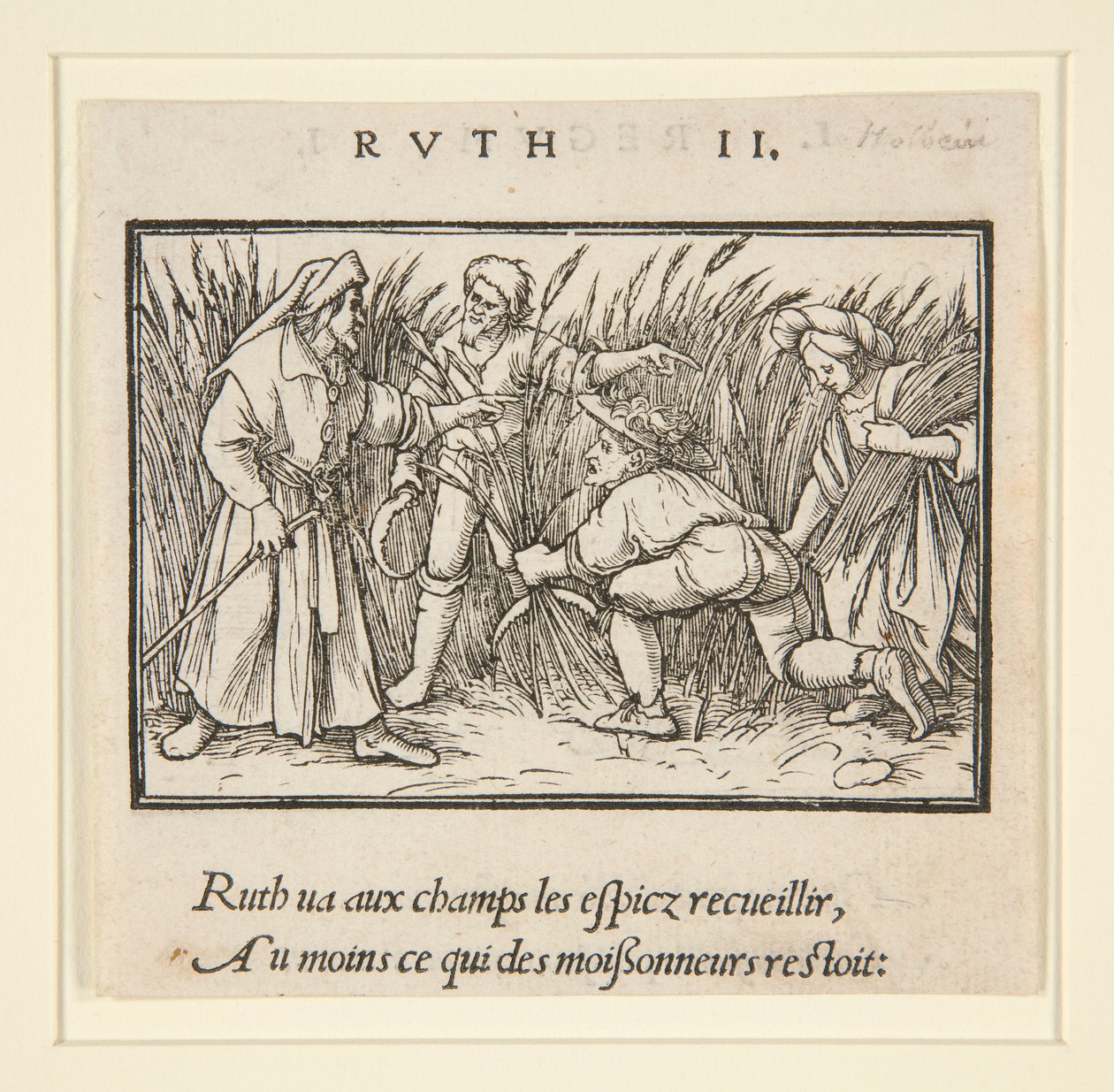 Ruth glanant dans les champs de Booz (recto); Hannah et Elkanah (verso) - Hans Holbein der Jüngere