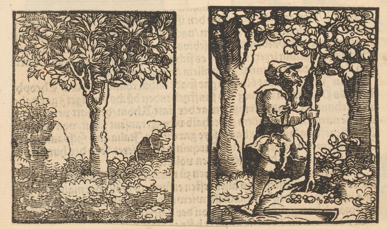 Arbre et représentation d