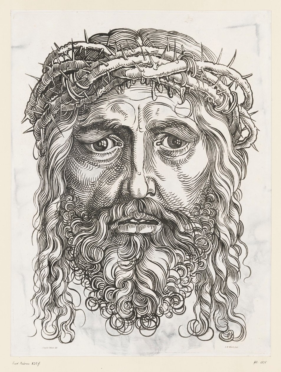 Grande tête du Christ avec couronne d