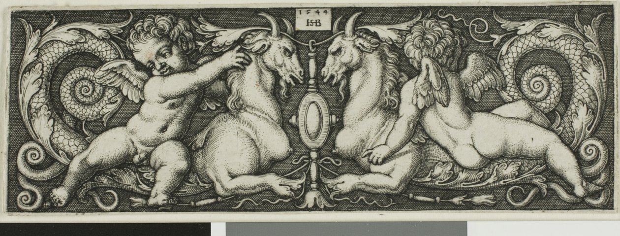 Ornement avec deux génies chevauchant des bêtes chimériques - Hans Sebald Beham