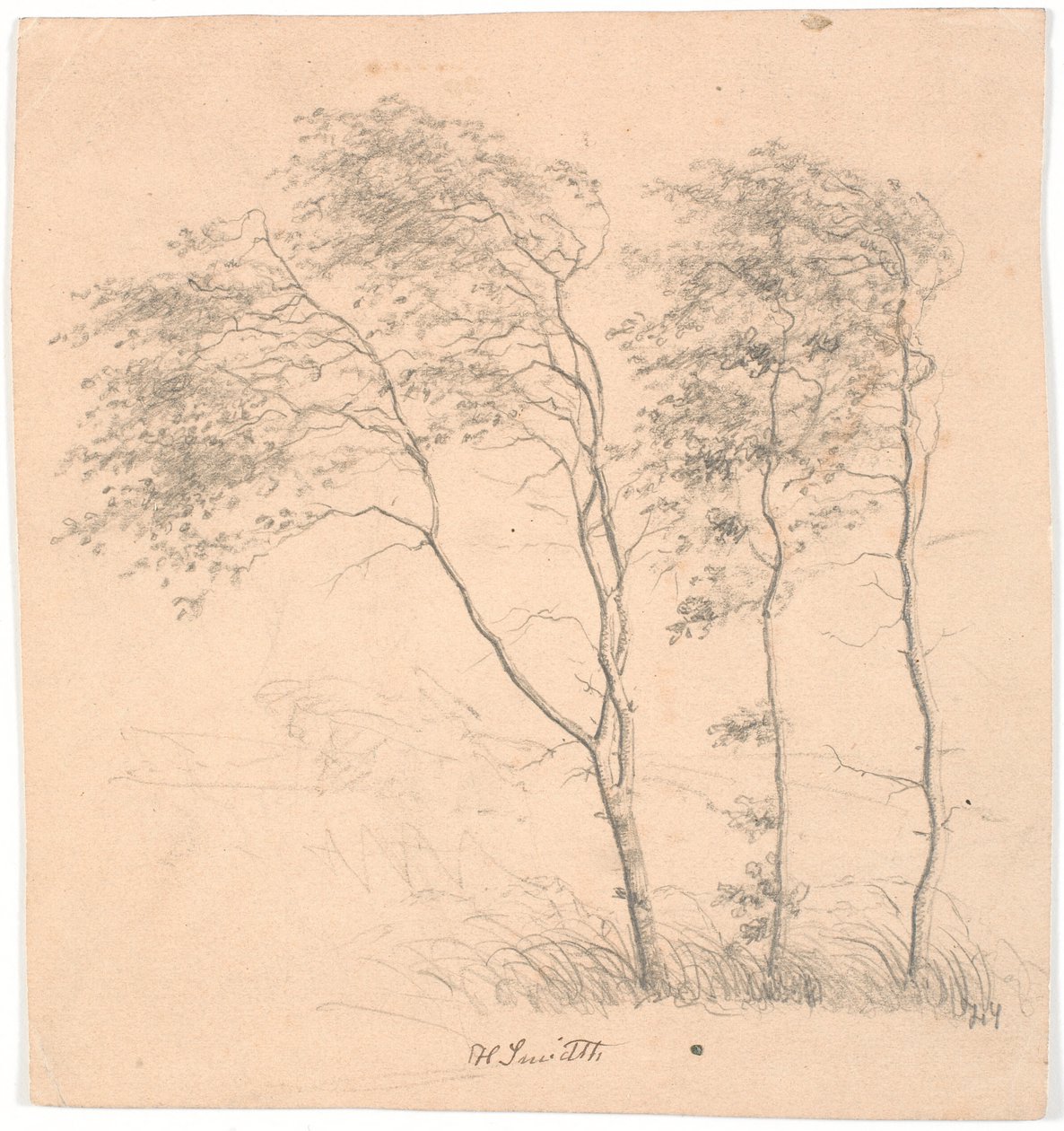 Trois arbres | Hans Smidth | Estampe d'art
