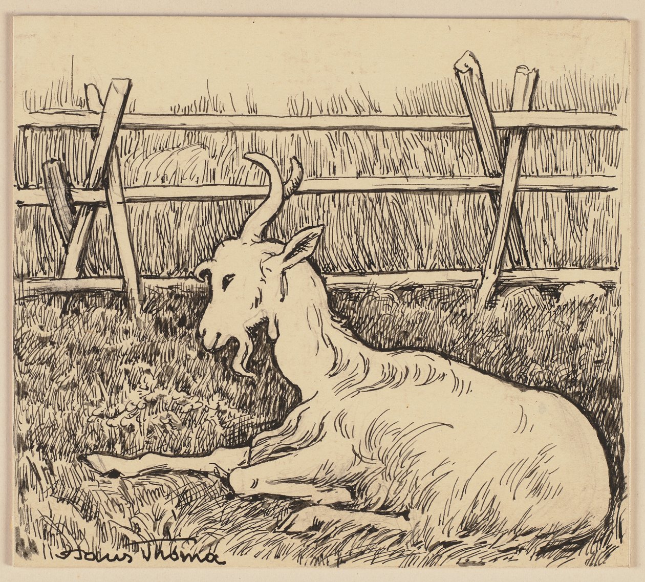 Dessin pour le manuel de lecture : Chèvre - Hans Thoma