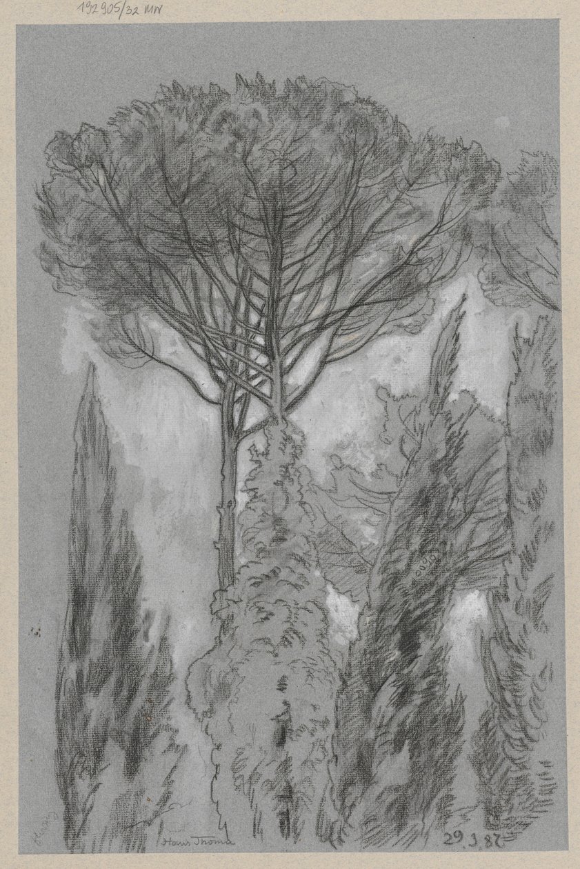 Arbres à Florence - Hans Thoma