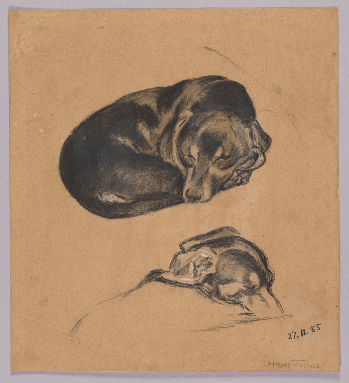 Zwei Studien eines schlafenden Dackels - Hans Thoma