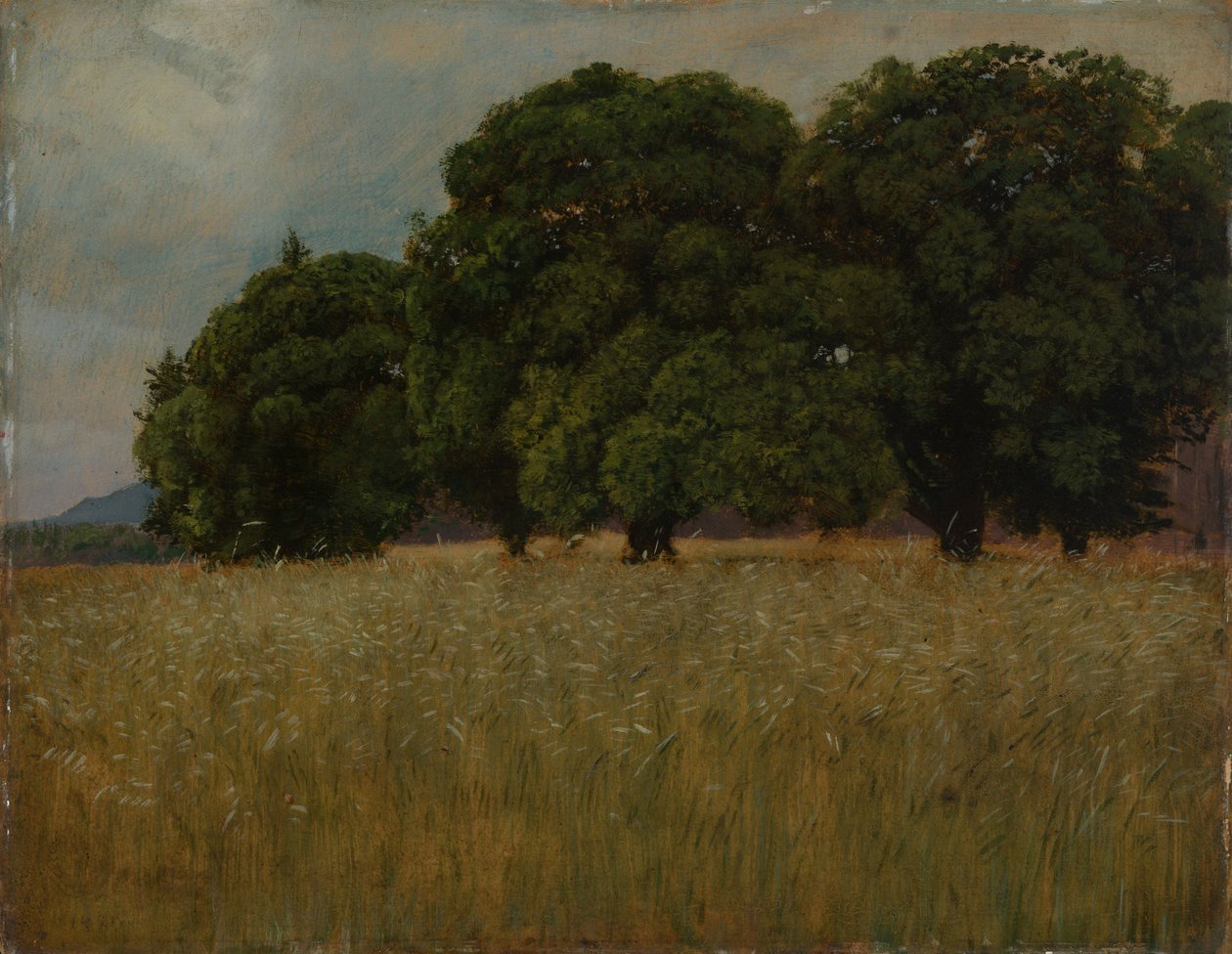 Champ de céréales avec des arbres à feuilles caduques - Hans Thoma