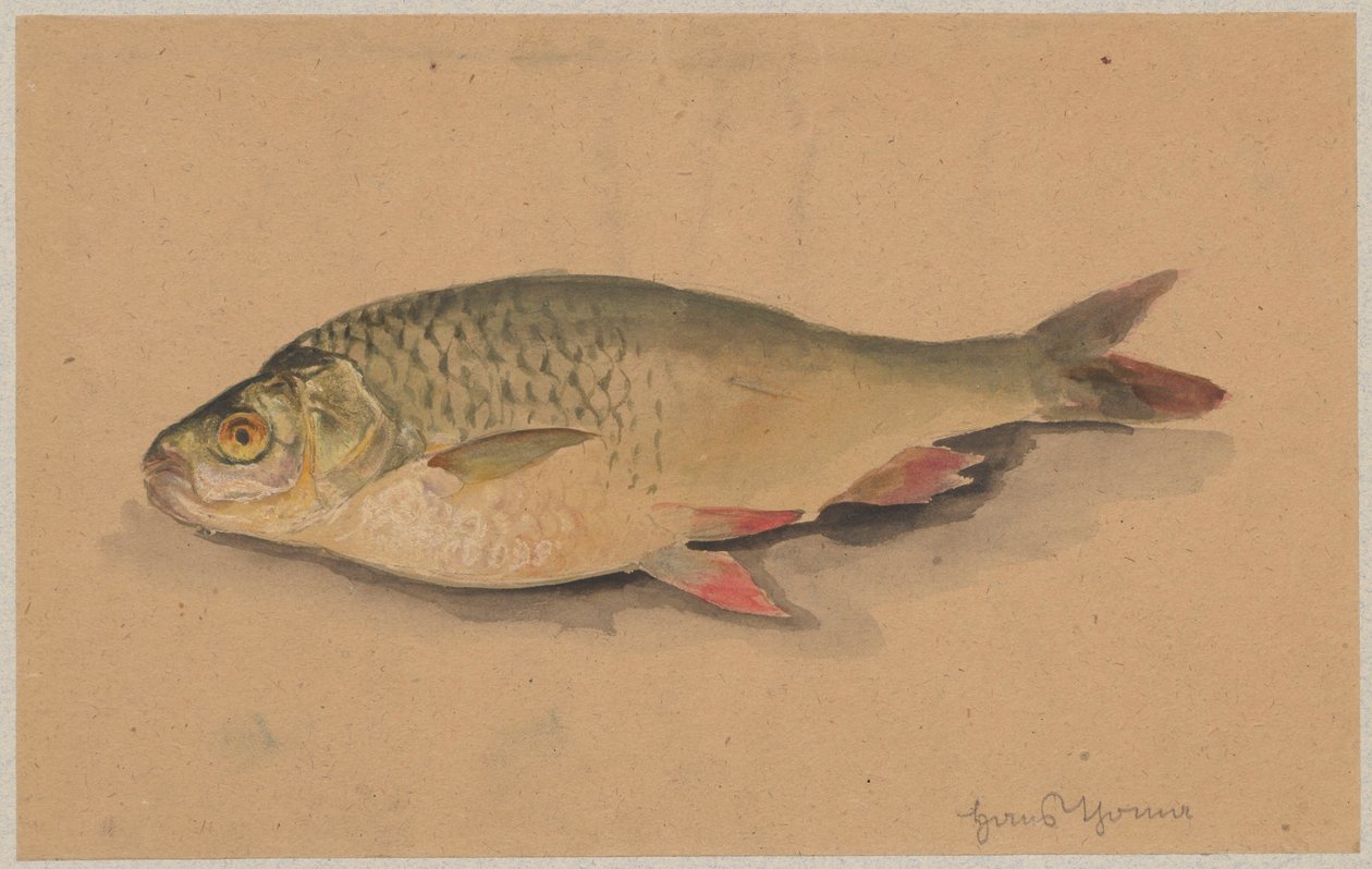 Poisson - Hans Thoma