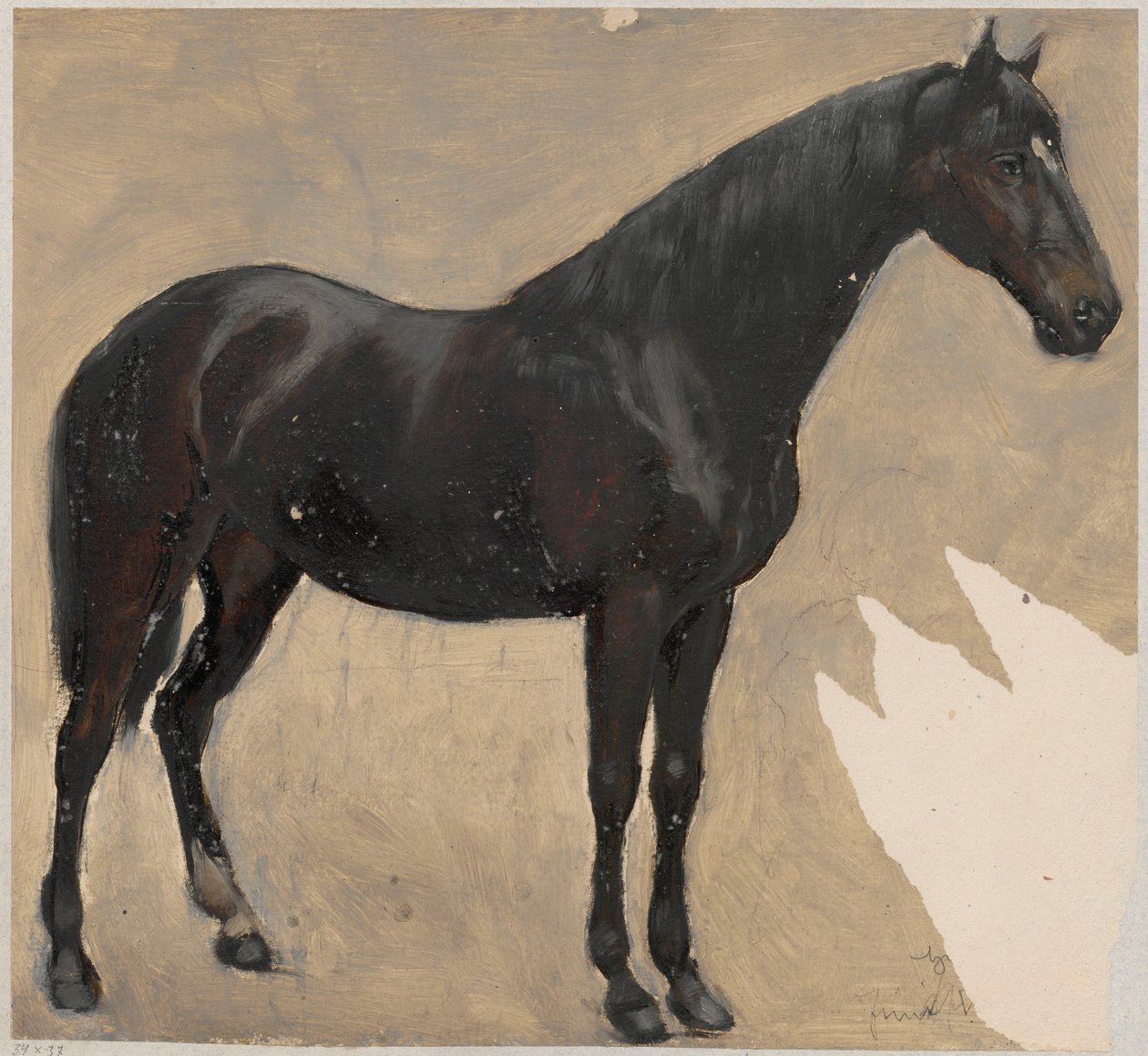 Étude du cheval - Hans Thoma