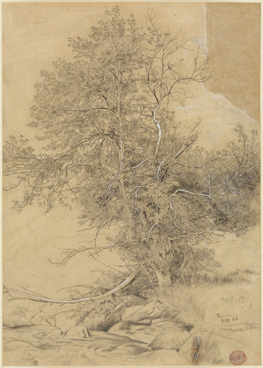Pâturage au bord du ruisseau - Hans Thoma