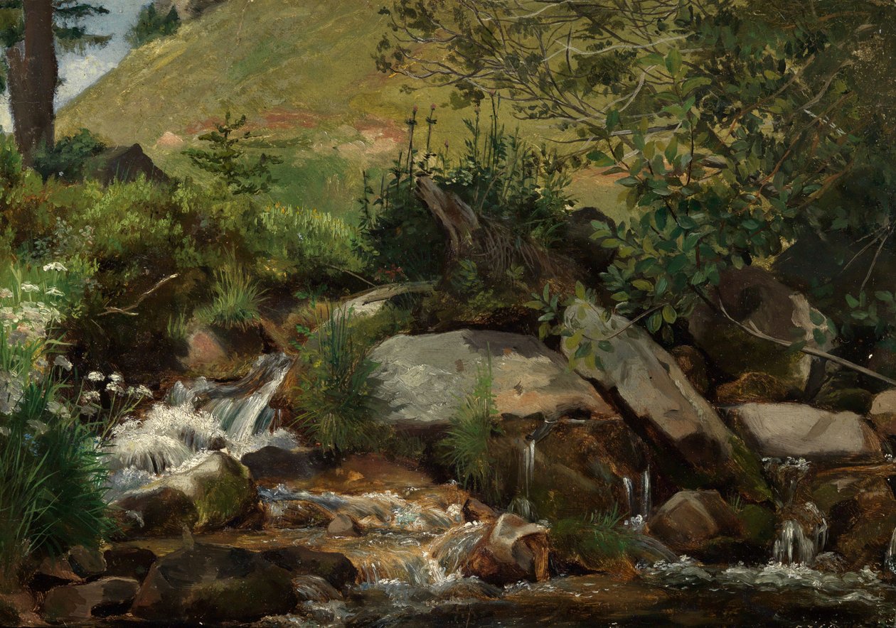 Ruisseau de prairie bordé de buissons et d