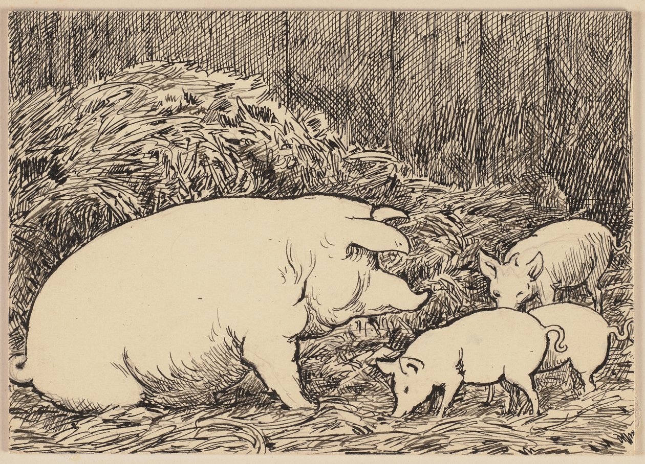 Illustration tirée du manuel d