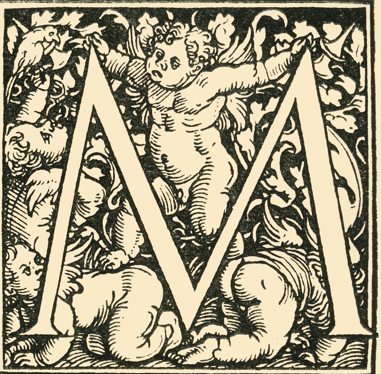 M - Un alphabet par Hans Weiditz - Hans Weiditz