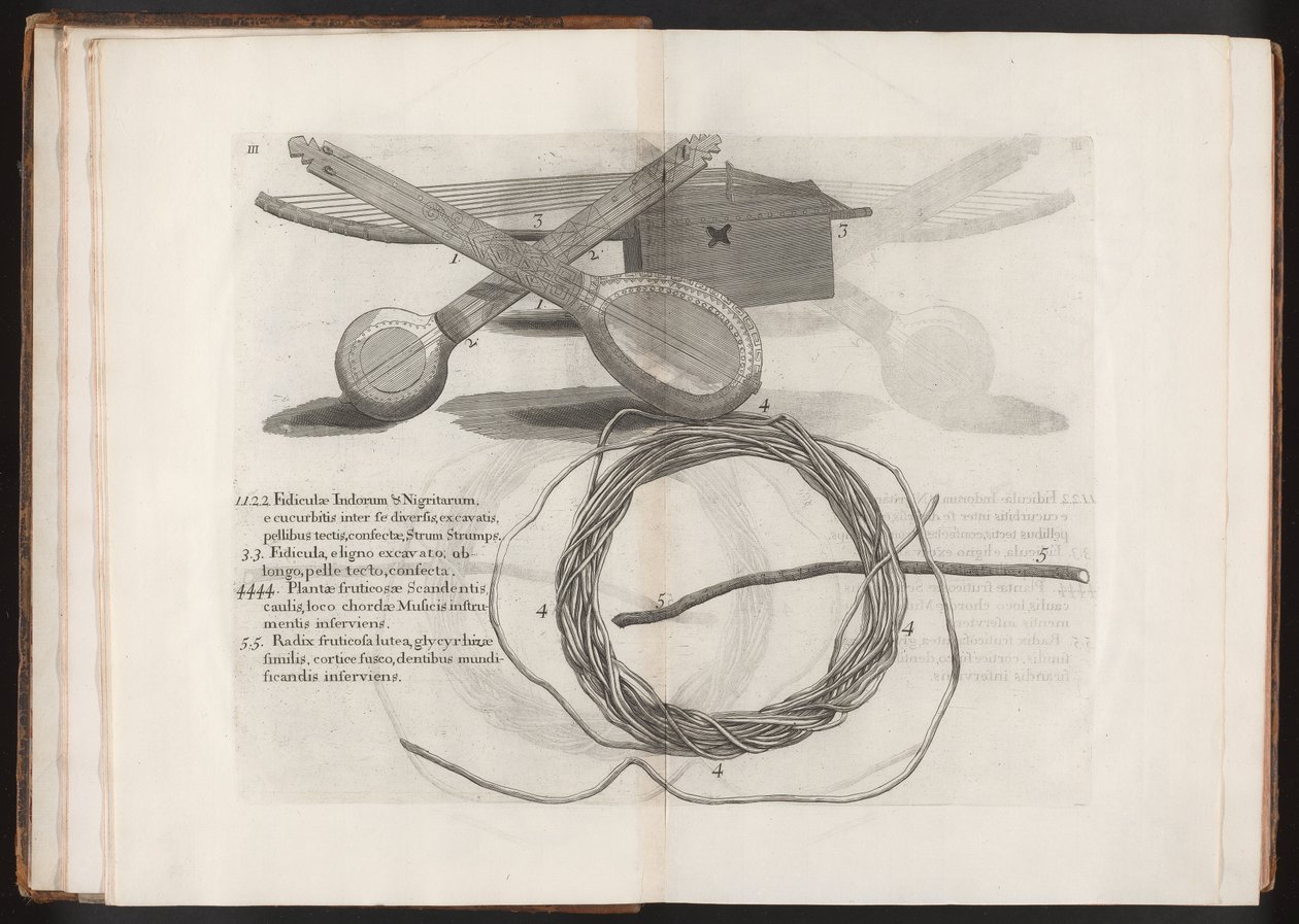Illustration du Voyage to the Island Madera, Barbados...Vol.2, 1815 - Hans after Sloane