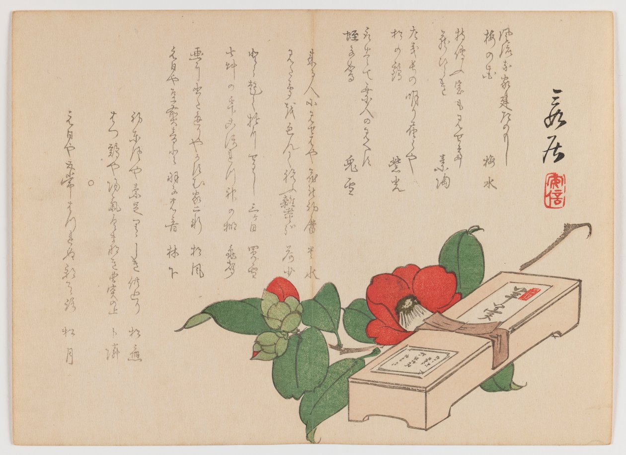 Camélia avec boîte de sucreries (Yokan), vers 1860 - Hanzan Matsukawa