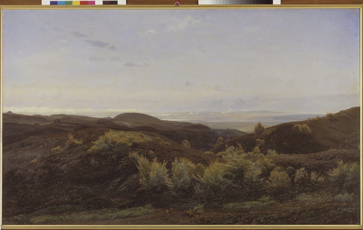 Collines de bruyère près de Rye, Jutland - Harald Foss