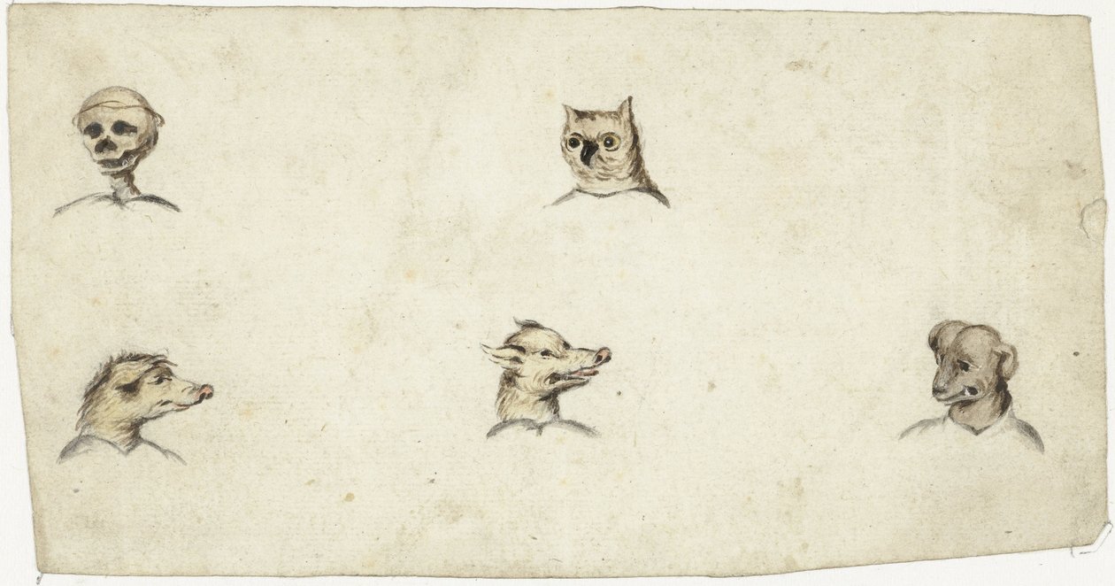 Têtes de quatre animaux et un squelette - Harmen ter Borch