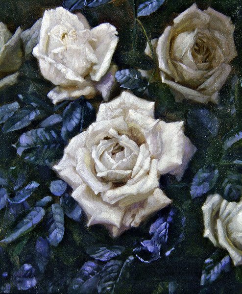 Roses blanches - Harold Oakley