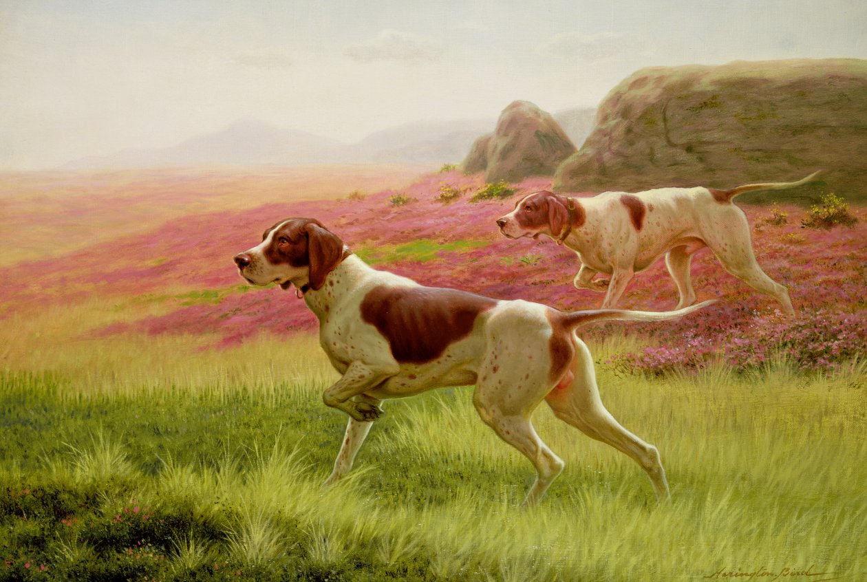 Pointeurs dans un paysage, XIXe siècle - Harrington Bird
