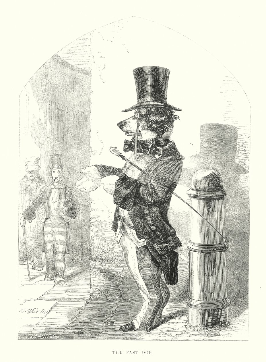 Drôles de chiens : Le chien rapide (gravure) - Harrison William Weir