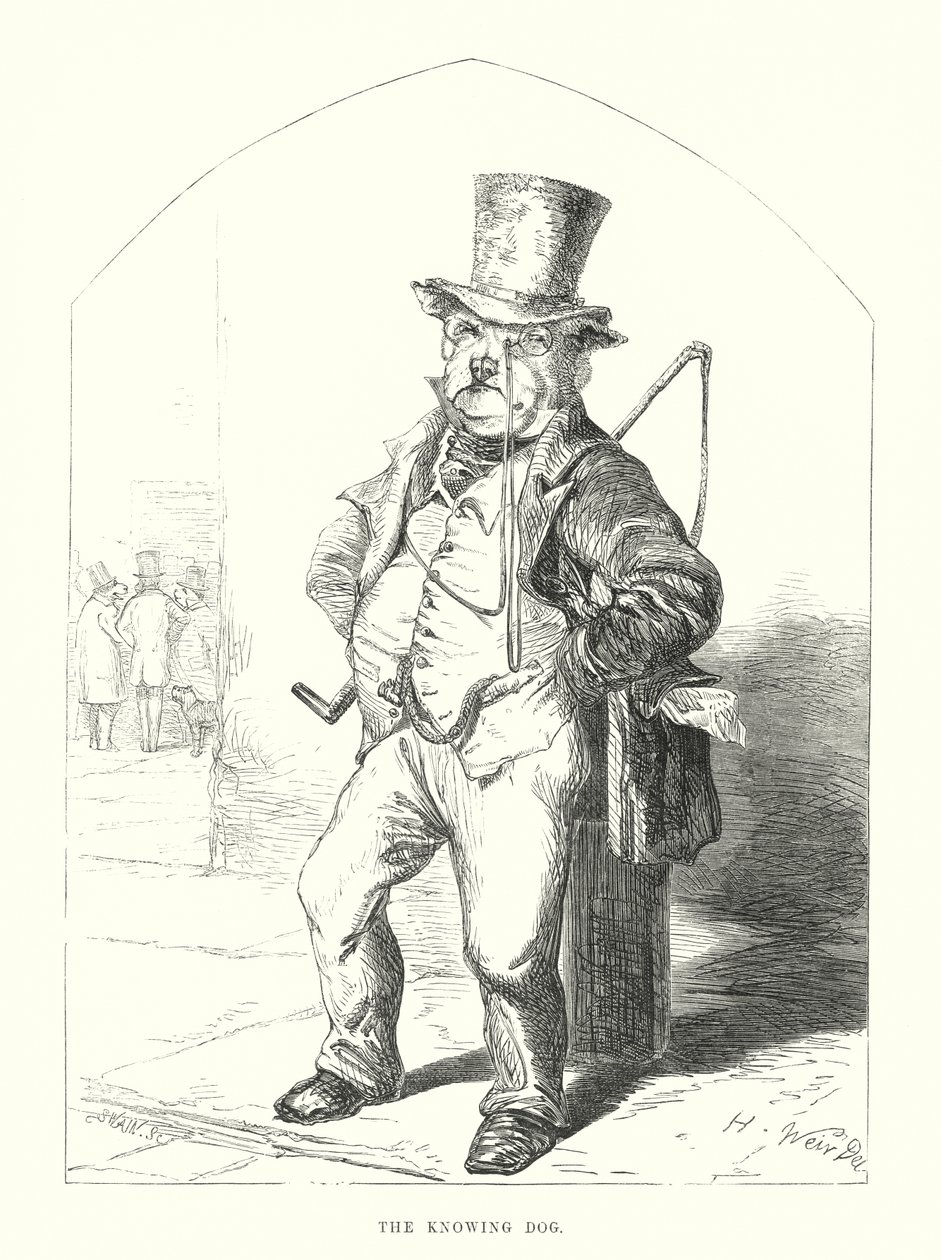 Drôles de chiens : Le chien savant (gravure) - Harrison William Weir