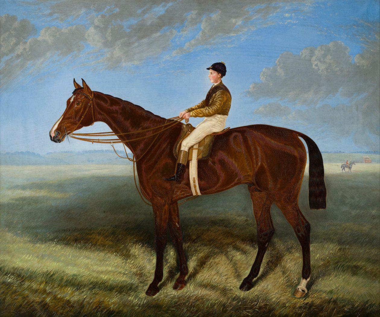 Salpinctes, un cheval de course - Harry (after) Hall