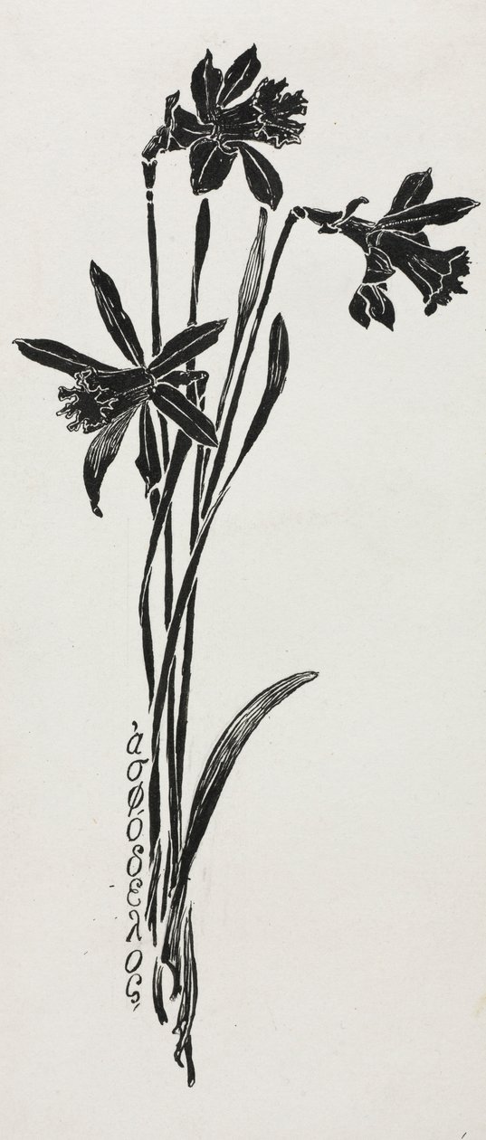 Jonquilles - Harry Fenn