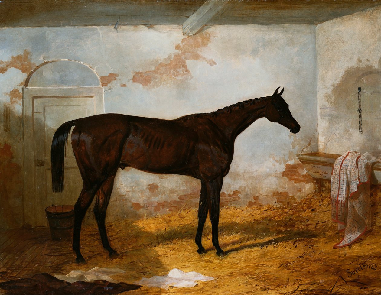 Le poulain baie de M. A.W. Hill, "Sweetmeat" dans une stalle, 1845 - Harry Hall