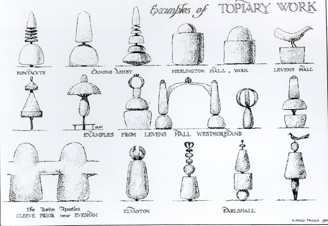 Exemples de travaux de topiaire, 1902 - Harry Inigo Triggs