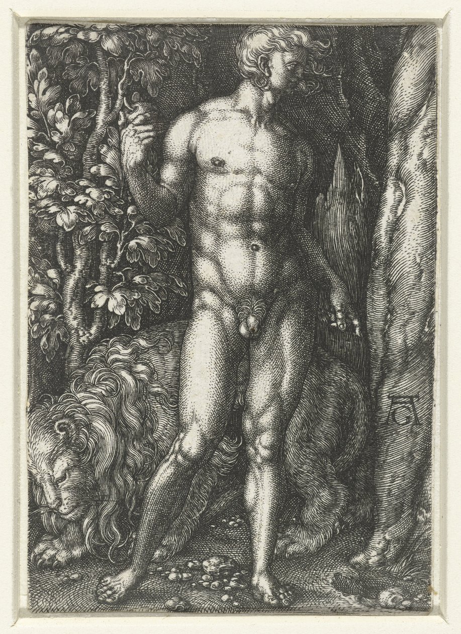 Adam - Heinrich Aldegrever