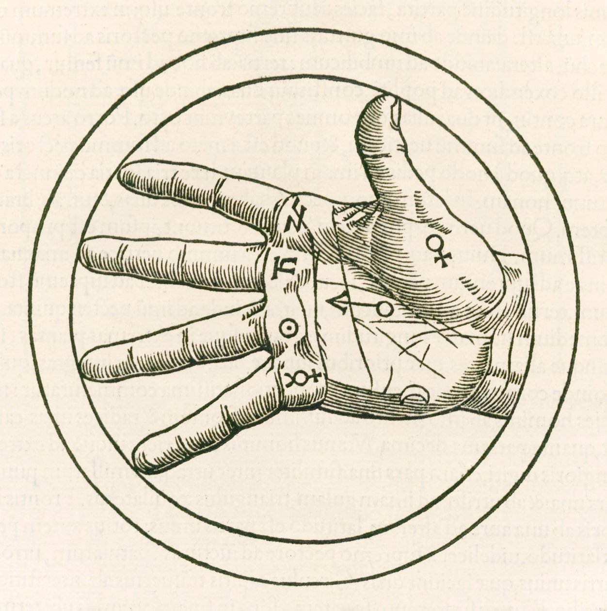 La main de la chiromancie gravure de Heinrich Cornelius Agrippa von Nettesheim (1486-1535) De occulta philosophia libri tres publié en 1533 - Heinrich Cornelius Agrippa von Nettesheim