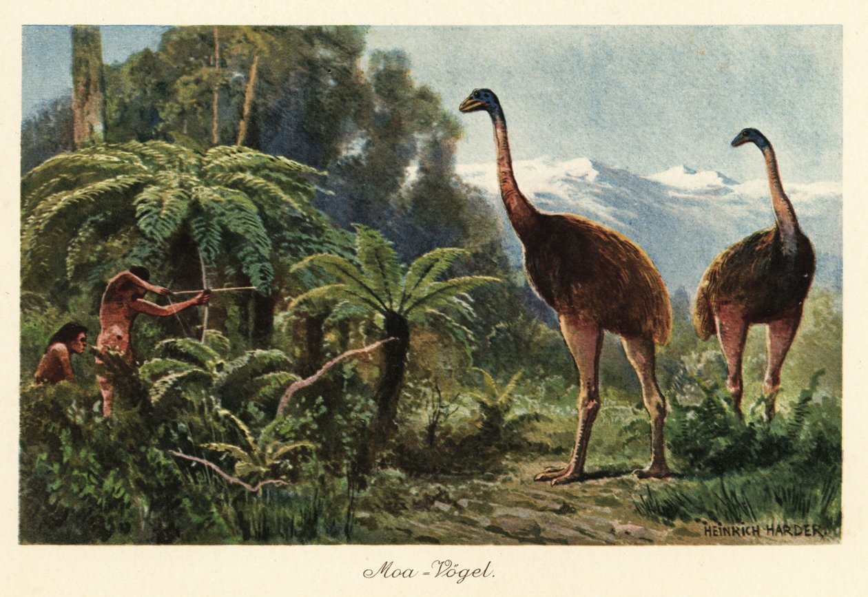 Oiseaux moa chassés par des hommes avec des arcs et des flèches - Heinrich Harder