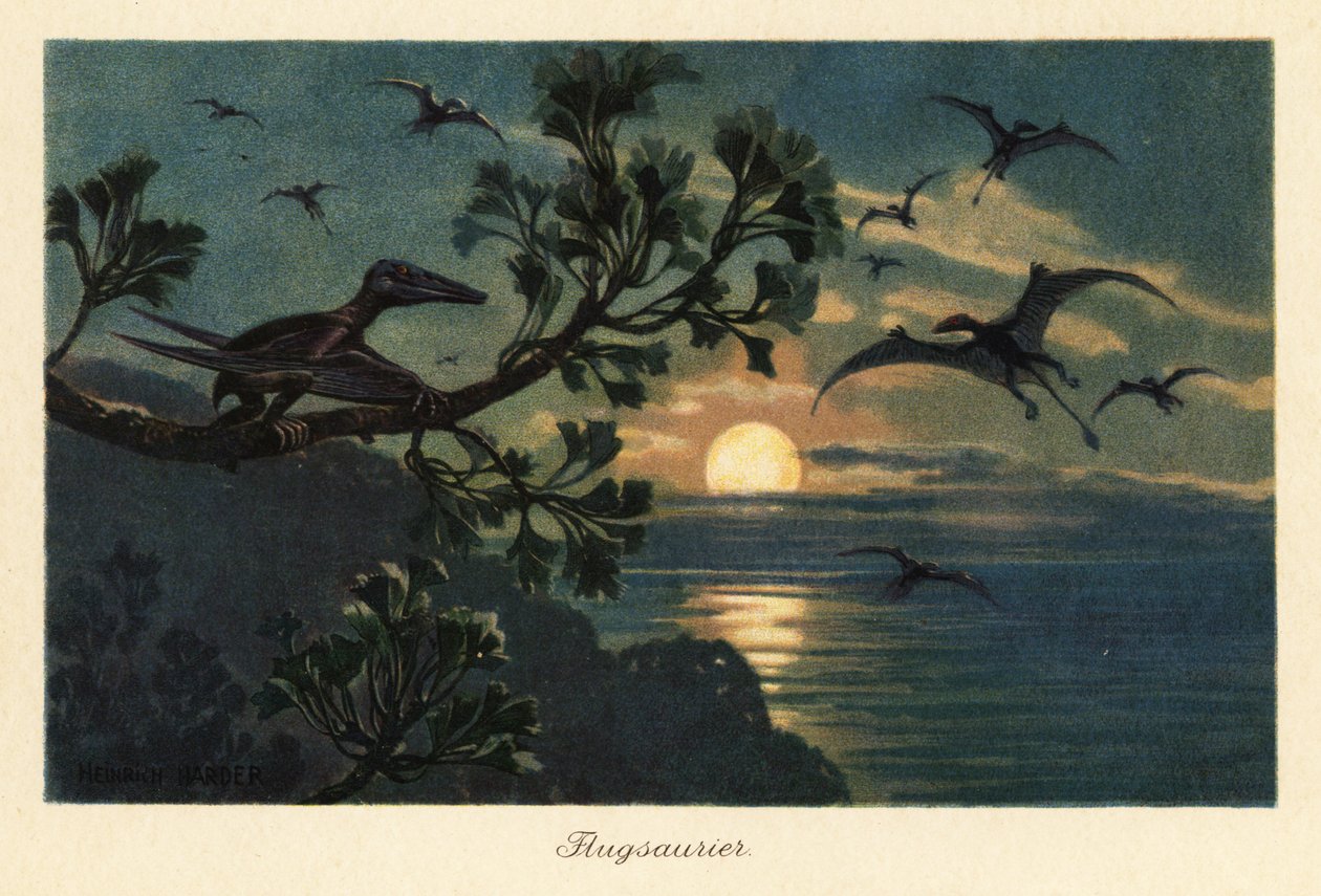 Rhamphorhynchus ptérosaures volant au clair de lune - Heinrich Harder
