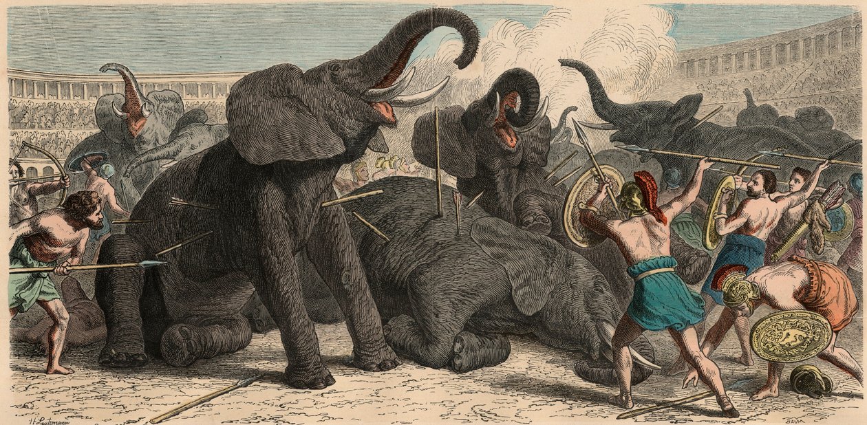 Rome antique : Les éléphants sont tués dans l