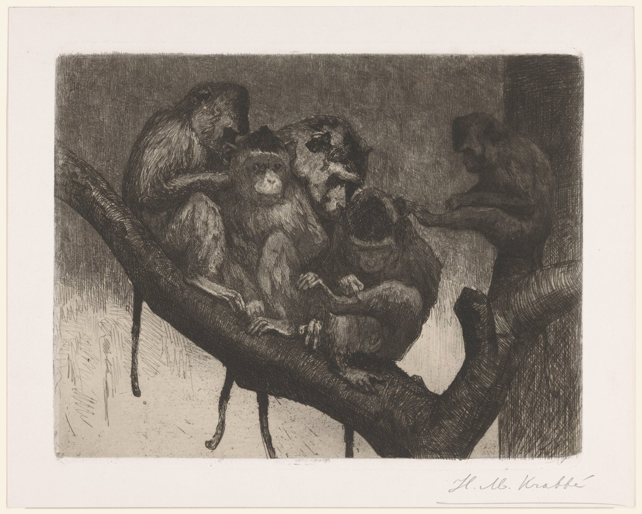 Cinq singes dans un arbre - Heinrich M. Krabbé (signed by artist)