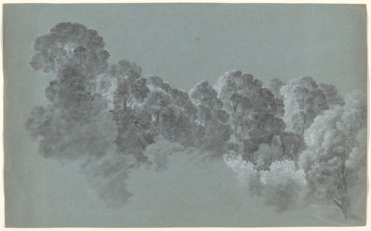 Cimes des arbres de la forêt frappées par la lumière - Heinrich Rieter