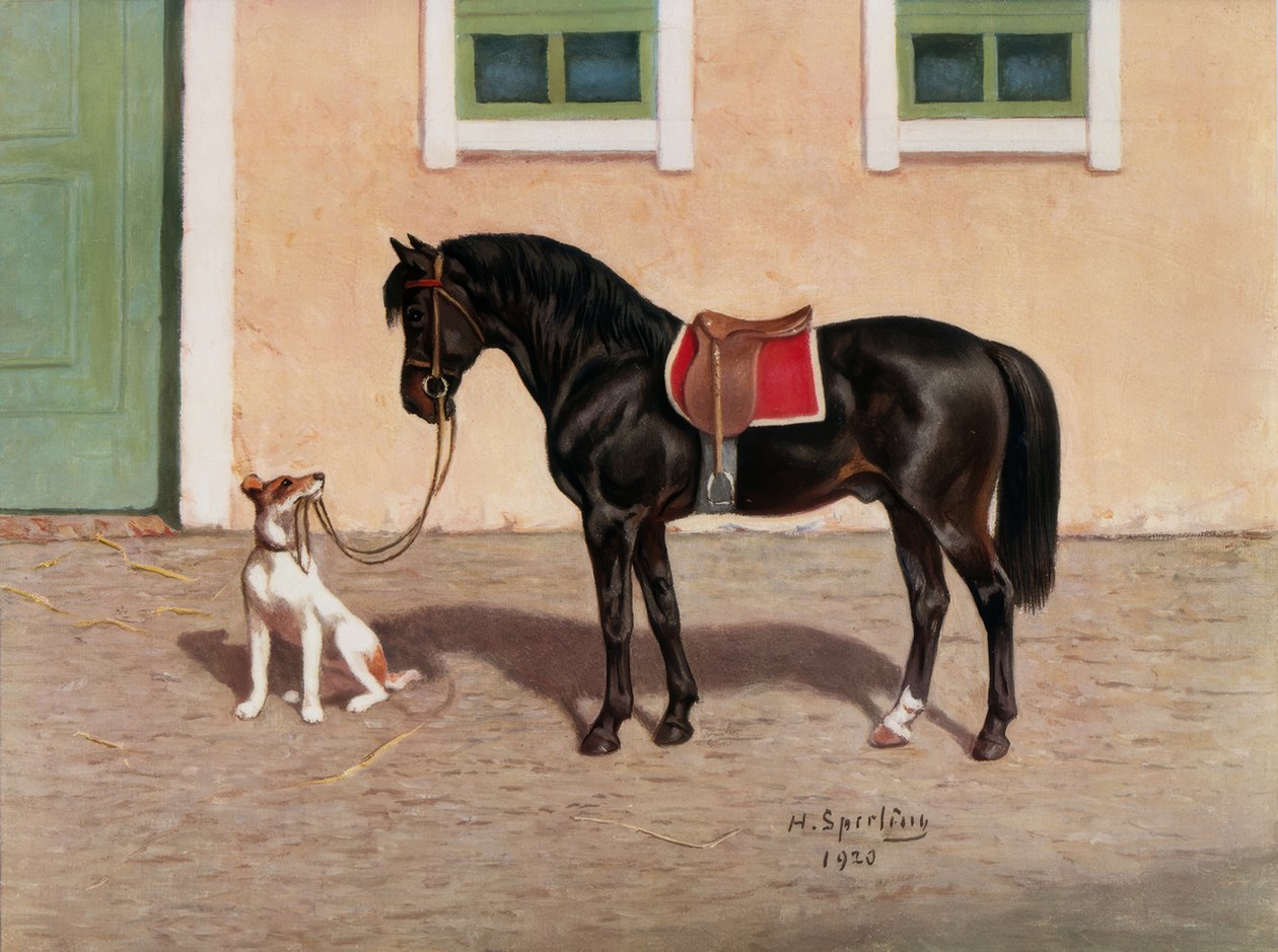 Cheval noir / d