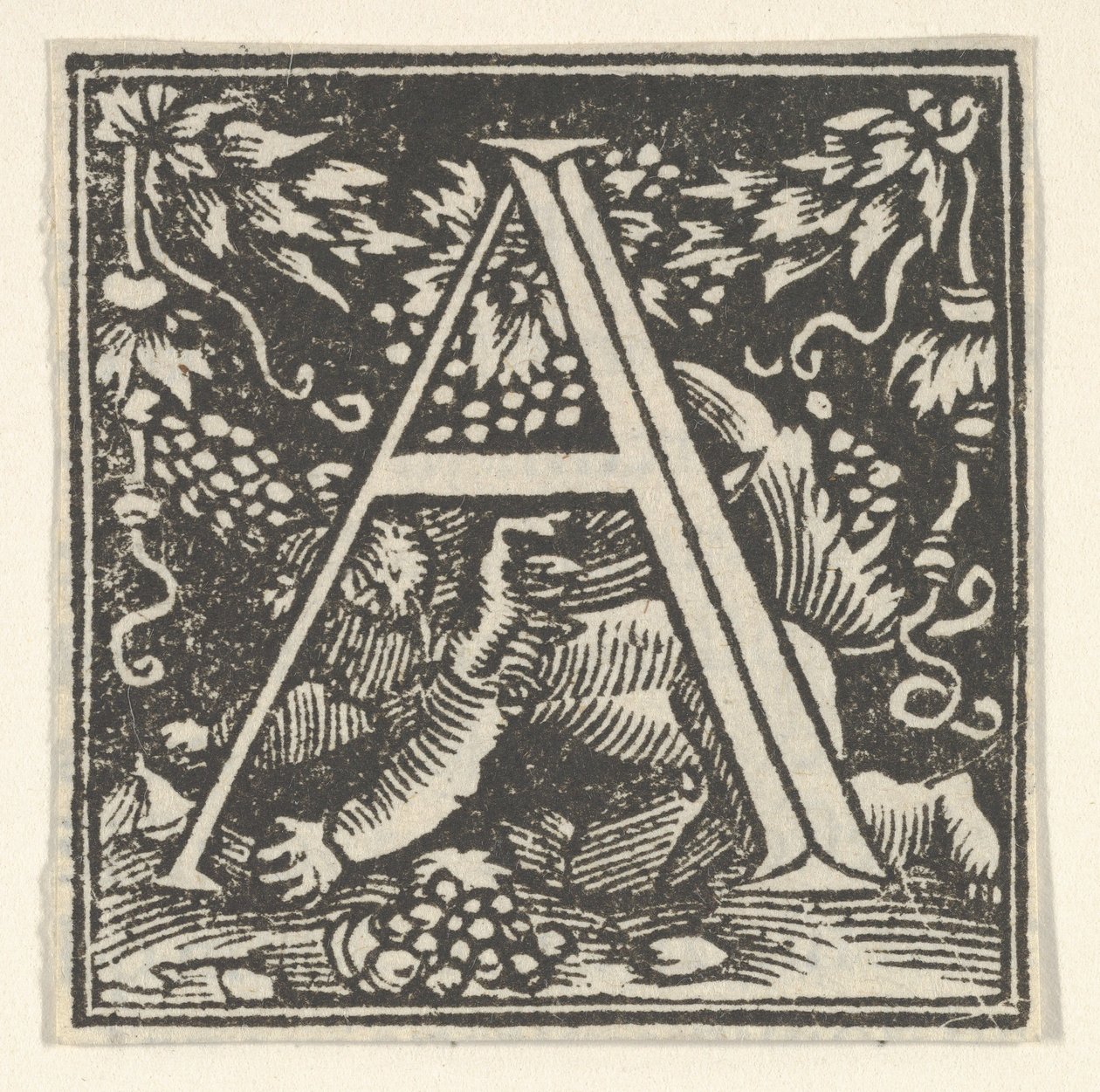 Lettre initiale A avec putto - Heinrich Vogtherr
