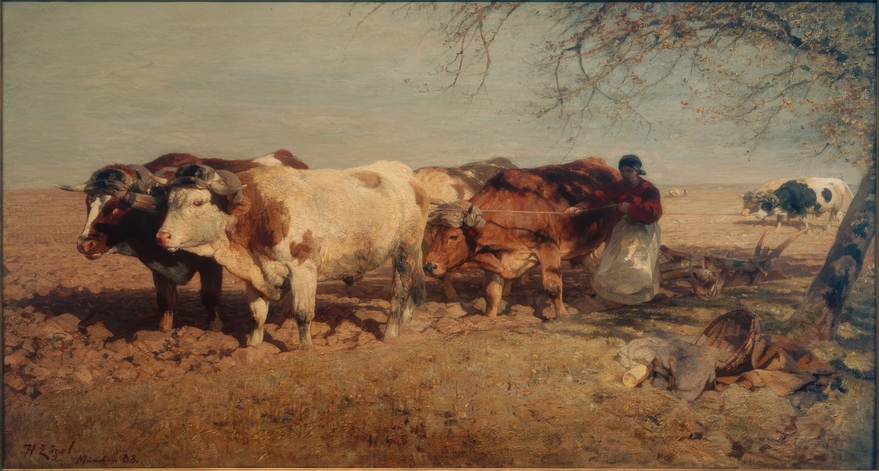 Attelage de bœufs - Heinrich von Zügel