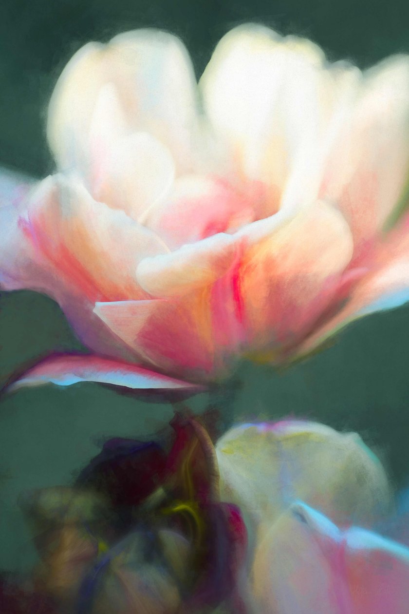 Émergence II - Helen White