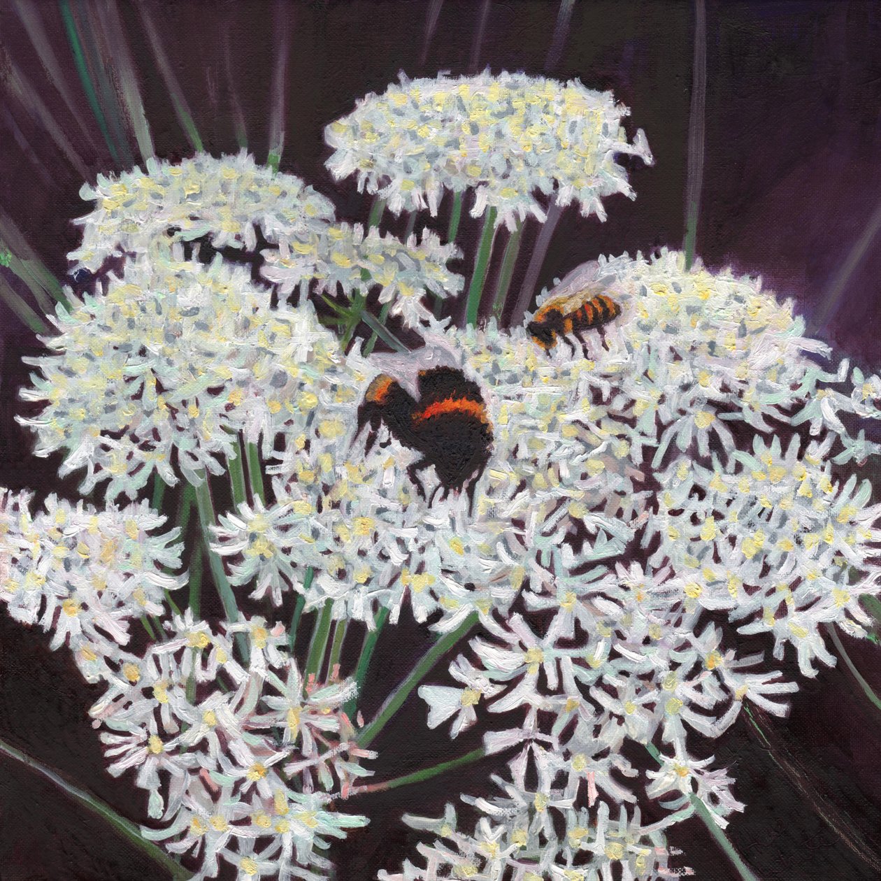 Inflorescence, 2015 - Helen White