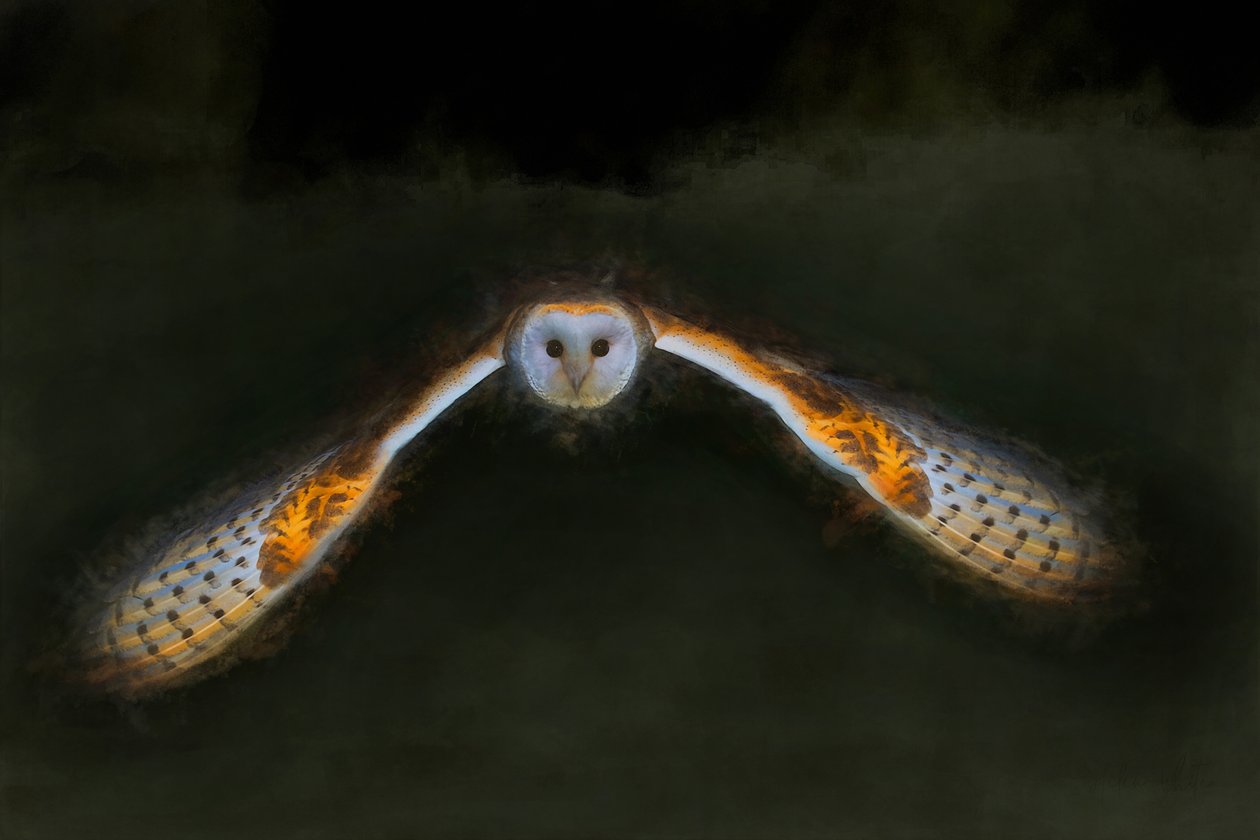 Vol de nuit - Helen White