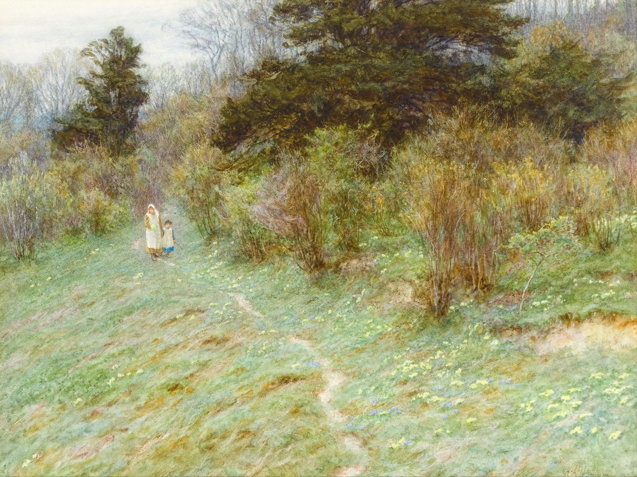 Primevères sur une lande du Surrey - Helen Allingham