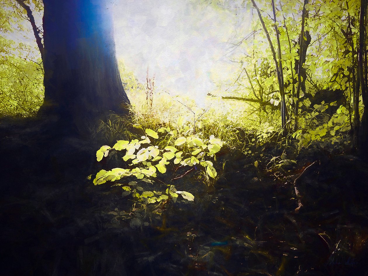 Lieu Sacré - Helen White