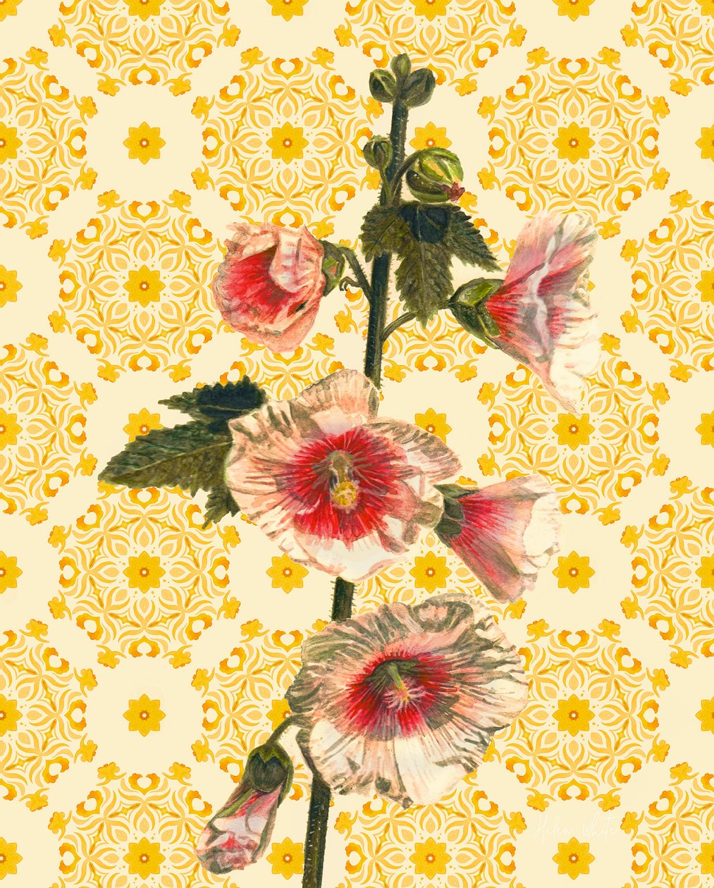 Rose trémière au soleil, 2021 - Helen White
