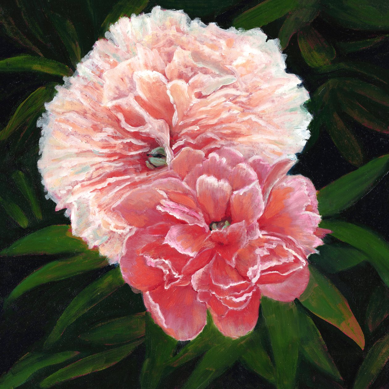 Magdalen College Peonies, 2023 (huile sur toile) - Helen White