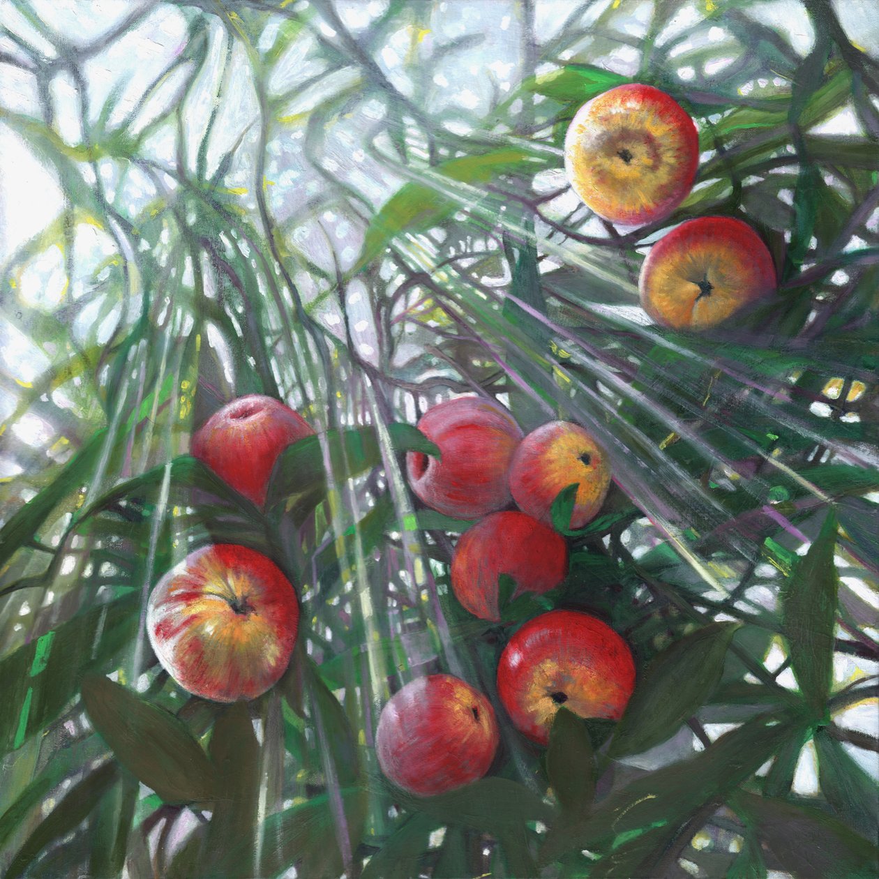 Nouvelle lumière sur Eden, 2016 - Helen White