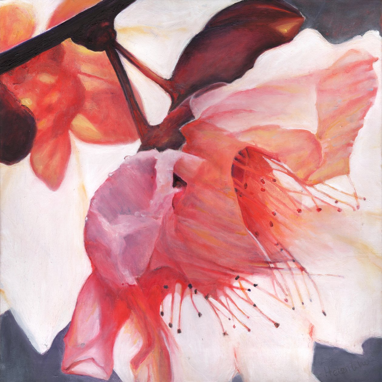 Danse Shakti, 2016 - Helen White